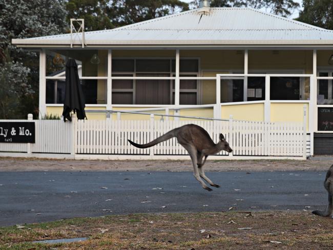 Tilly &amp; Mo on Lake Conjola is re-open for business.