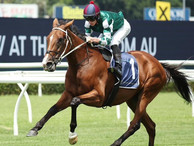 SYDNEY, AUSTRALIA - FEBRUARY 08: James McDonald riding Via Sistina participates in an exhibition gallop after Race 1 during Sydney Racing at Royal Randwick Racecourse on February 08, 2025 in Sydney, Australia. (Photo by Jeremy Ng/Getty Images)