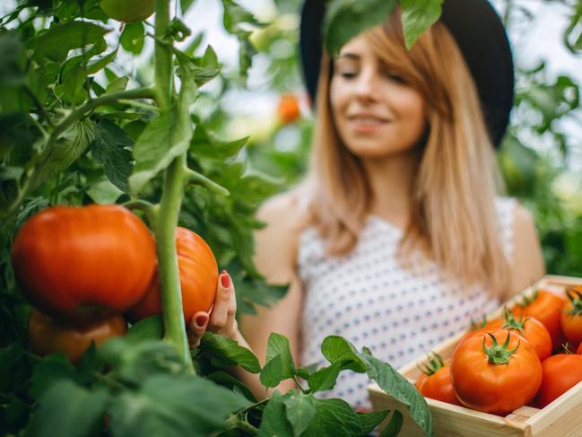 iStock hobby farmers