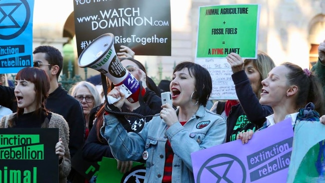 Extinction Rebellion protesters near Parliament House. Picture: Liam Kidston