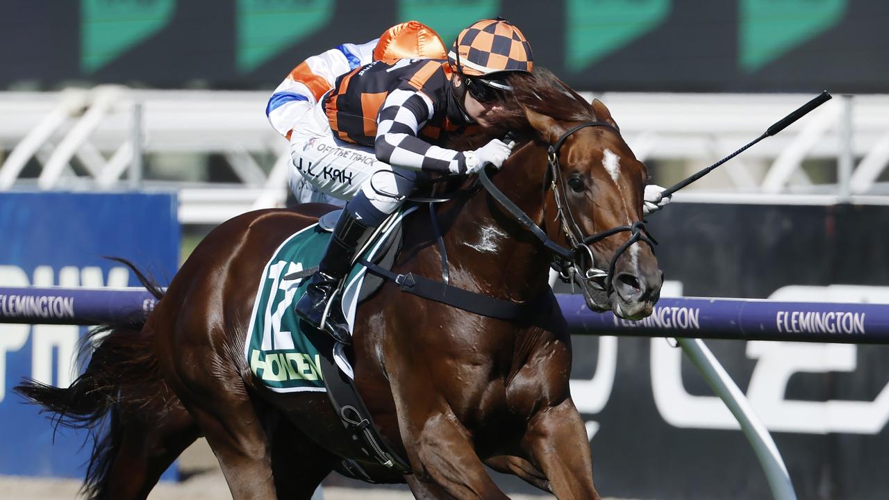 Dual Group 1 winner Southport Tycoon will start his autumn preparation in Friday night’s Group 2 Australia Stakes at The Valley. Picture: Michael Klein