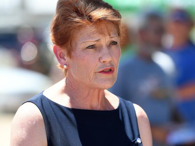 Senator Pauline Hanson has been called an “hysterical paper cat” by the Chinese Communist Party run daily tabloid Global Times. Picture: Matt Taylor.