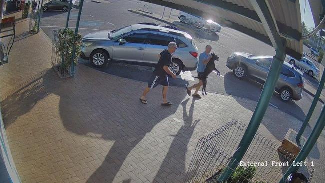 A man caught the attack dog by the scruff of his neck and carried him away. Picture: Peter Poniris