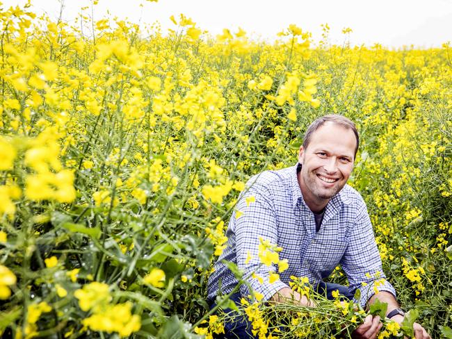 Victorian Farmers Federation President David Jochinke in a canola field in Tarrington, Victoria. Picture- Nicole Cleary