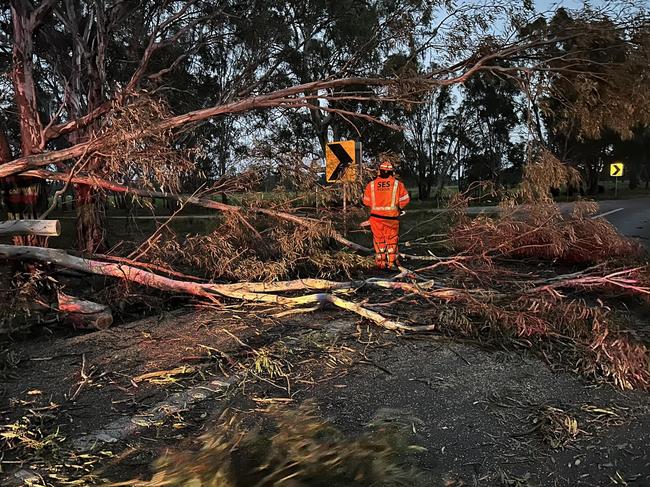 Wind and storm damage across Victoria attended by the Cobram SES Picture: Cobram SES