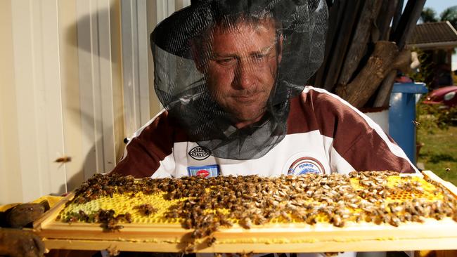 Live bee demonstration: Beekeeper Carl Skinner educating kids | Daily ...