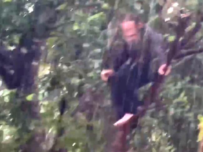 A person rescued from a tree north of Wujal Wujal. Picture: Gavin Dear,