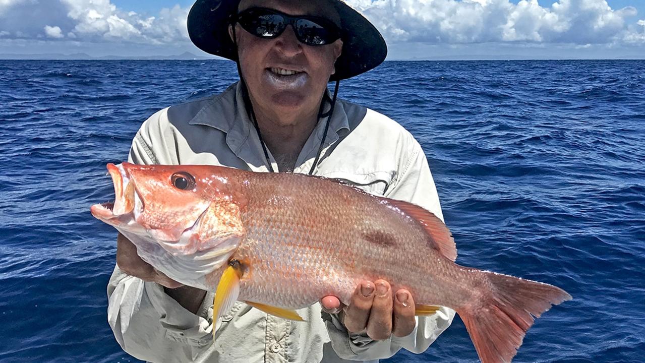 GOTCHA - A thumper moses perch, boated on a recent Trekka 2 charter to North Reef. Photo: www.fishingnoosa.com.au