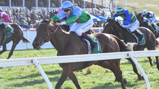 Tuvalu wins the Wangoom Handicap at Warrnambool.