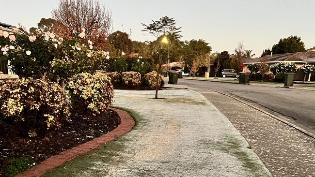 Frosted lawns at Warradale in Adelaide on Wednesday morning. Picture: Jo Schulz