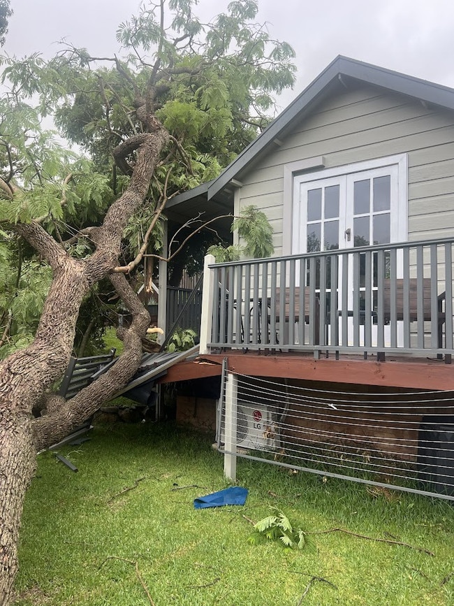 This large tree fell in a woman's home in Windsor during the storm.