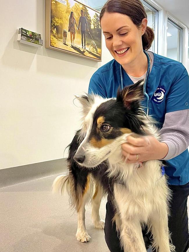 Bronwyn Orr in her Canberra clinic. The split in what was once a male-dominated profession is now 40 per cent male to 60 per cent women. Picture: Supplied