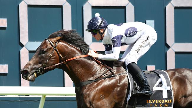 Caballus winning the Group 3 Eskimo Prince Stakes in the autumn. Picture: Jeremy Ng/Getty Images