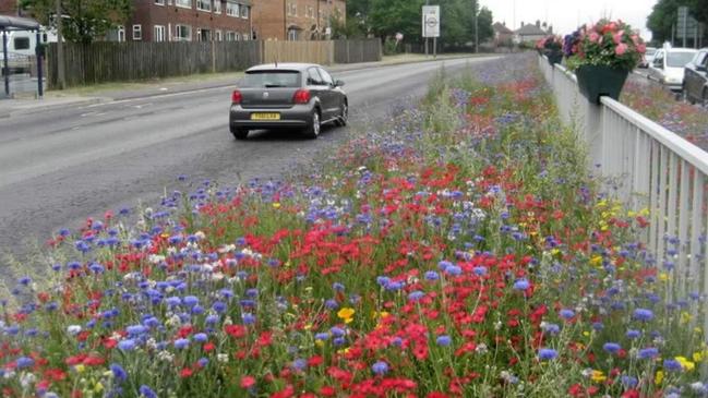 The idea was inspired by Rotherham’s wildflower project.