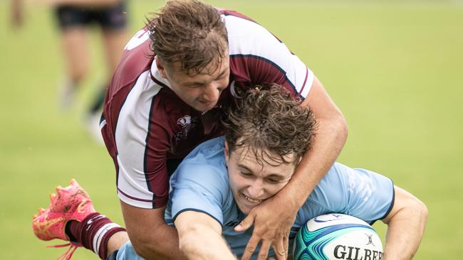 Charlie Poynton getting plenty of attention. Picture: Julian Andrews