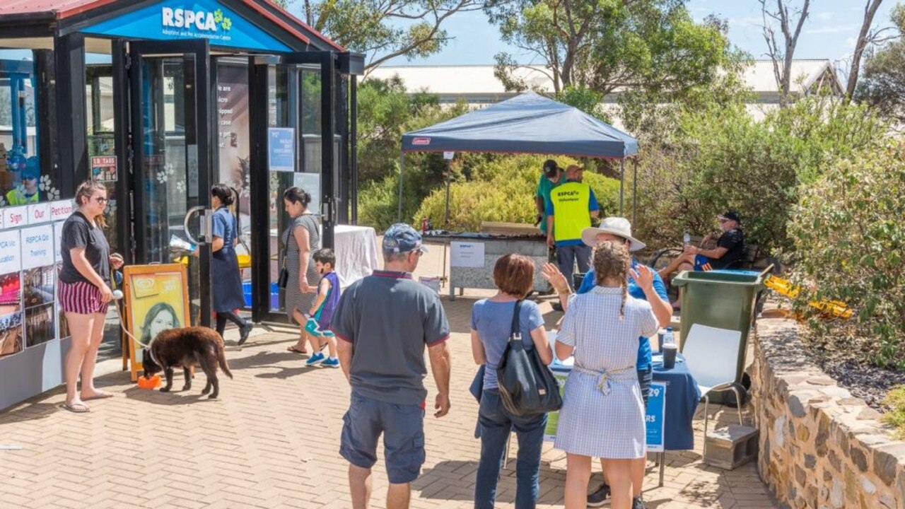 The SA RSPCA's Lonsdale Shelter. Picture: File