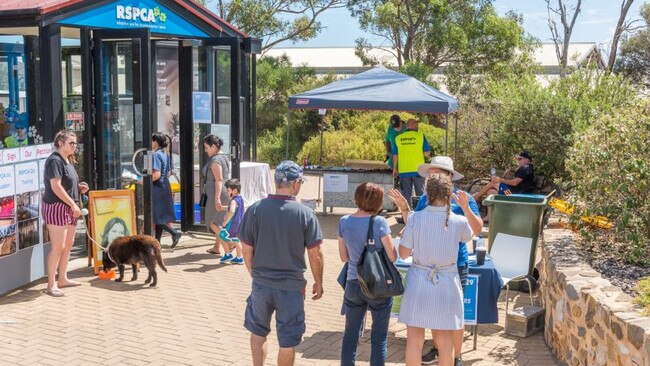 The SA RSPCA's Lonsdale Shelter. Picture: File