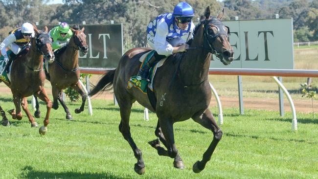 Excelleration could continue his rapid improvement to earn a Melbourne Cup start via Saturday's Andrew Ramsden at Flemington. Picture: Racing Photos via Getty Images.