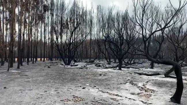 Bushfire destruction of Kangaroo Island