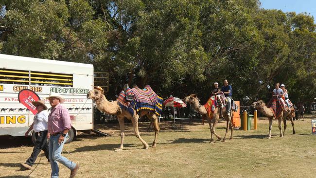 Some of the attractions at the show Picture Mike Batterham