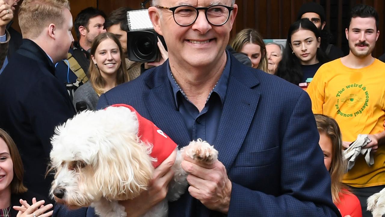 More than half of dog owners would take a pay cut to spend more time with their dog. Picture: James D. Morgan/Getty Images