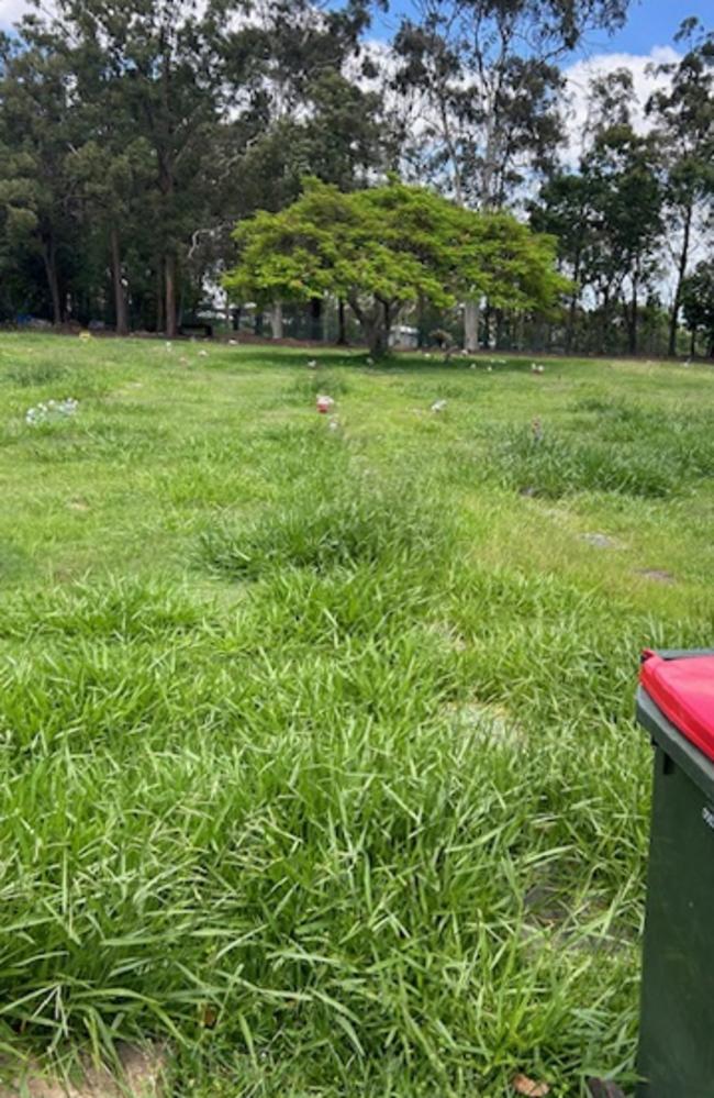 The long grass near the grave of Mathew Somers’ nan before it was mown by council. Picture: Matt Somers