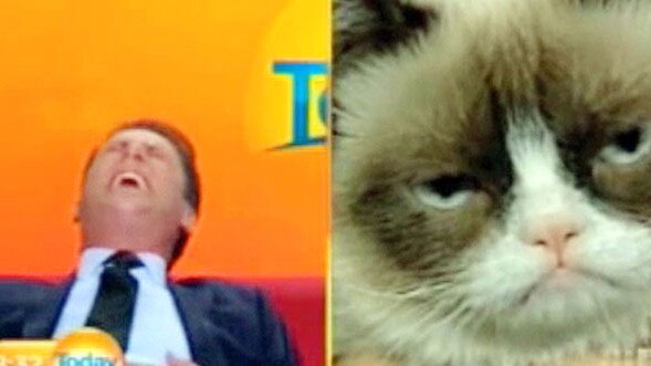 Karl Stefanovic loses it on TV during his interview with Grumpy Cat. Picture: Nine