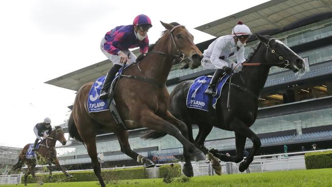 Van Giz (right) has pulled up well from last week’s run and will back-up at Randwick on Saturday. Picture: Getty Images