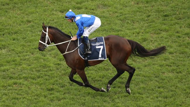 Winx running out on the track in the final race of her career, the Queens Elizabeth Stakes 2019, at Randwick Racecourse. Picture Rohan Kelly.