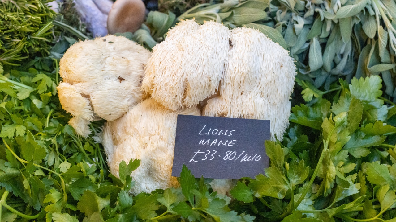 Lion's Mane mushrooms are often touted for their nutritional benefits. Image: iStock