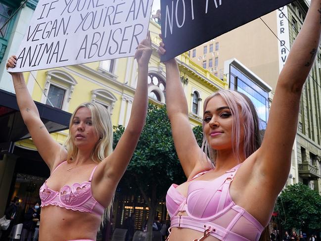 MELBOURNE AUSTRALIA - NewsWire Photos JUNE 14, 2023: Members of Vegan action Melbourne protest while wearing lingerie in Melbourne . Picture: NCA NewsWire / Luis Enrique Ascui