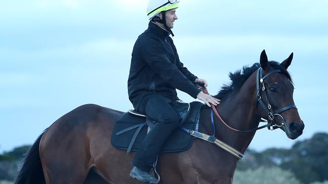 Champion mare Winx is on track for the Cox Plate. Picture: Nicole Garmston