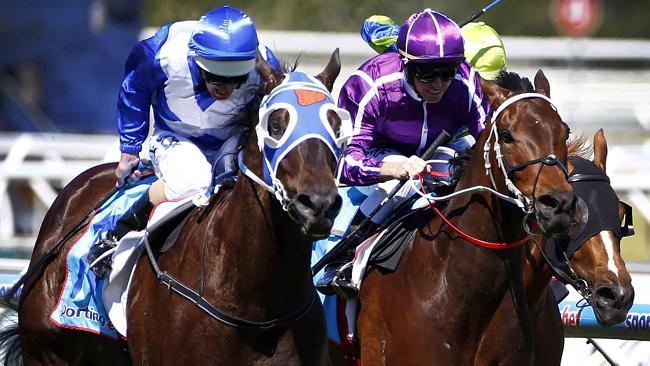 Boban is the deserved Emirates Stakes favourite, coming out of a terrific form race, the Epsom. Picture: Michael Klein