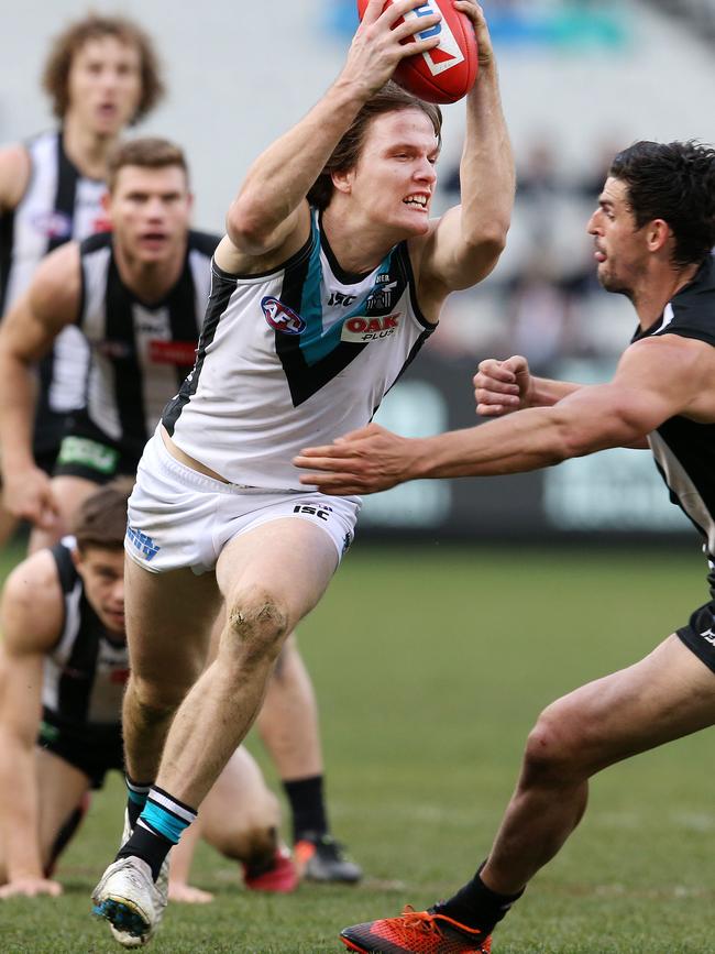 Jared Polec is off to North Melbourne on a five-year deal. Picture: Michael Klein