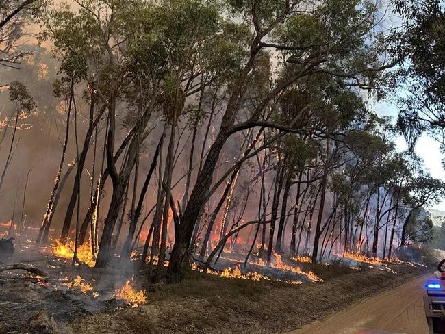 An image released on the 2nd of February, 2025 showing a bushfire burning in the Grampians region in Victoria on Saturday.  Strike Team 2090 spent the day in the Grampians assisting with back burning and monitoring tree crowning and spot overs. Picture: Facebook / Kerang Fire Brigade