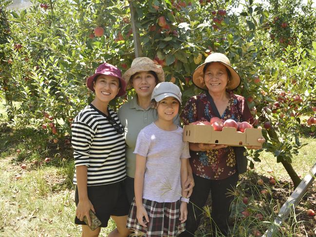 (From left) Harley, Xuan, Loan and Hazel enjoying apple picking at Stanthorpe produce farm Eastern Colour during the Apple and Grape Harvest Festival on Saturday, March 2, 2024. Photo: Jessica Klein