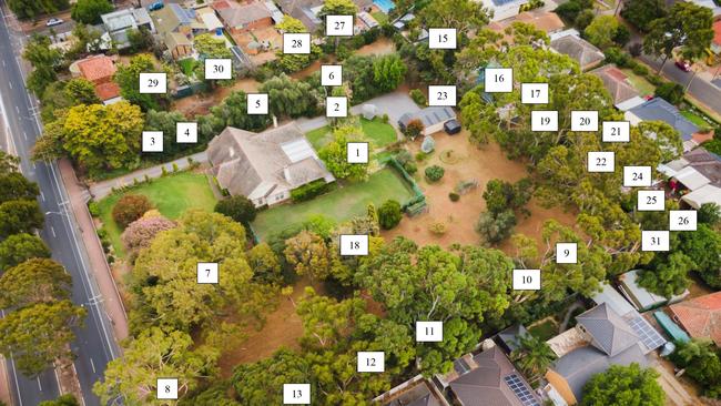 The numbers are the regulated and significant trees located on the Le Cornu family property. The Holdfast Bay Council’s assessment panel rejected an application to axe 10 of the trees.