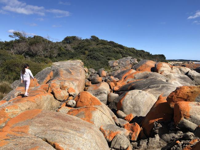 Walking near Granite Point Conservation Area at Bridport. Picture: SUSAN OONG