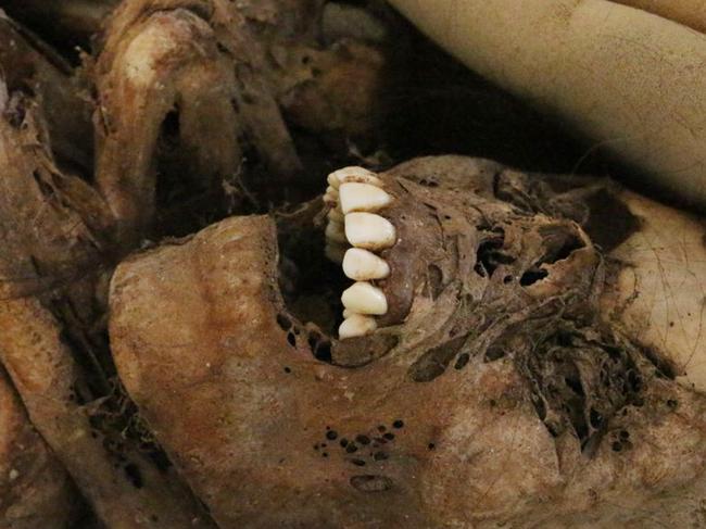 CREDIT: AUSTRALSCOPE ONLINE USE ONLY Pic shows: This mummy was found wrapped in rope and dumped inside a box by street cleaners. The preserved remains of a Peruvian mummy have been found in a cardboard box by street cleaners.