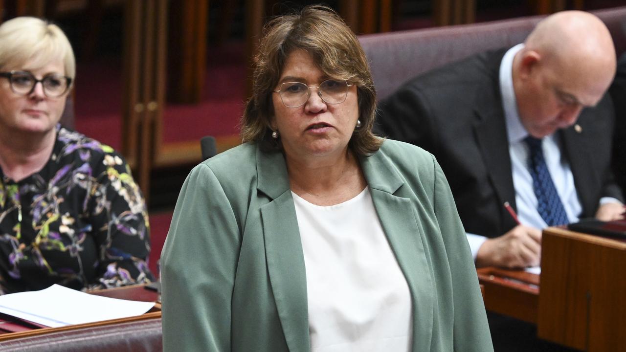 Senator Kerrynne Liddle denied misinformation allegations. Picture: NCA NewsWire / Martin Ollman