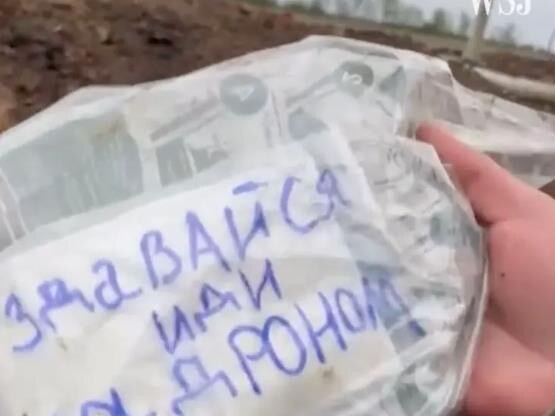 The pilot told Anitin to follow the drone, which led him to the Ukrainian front lines.