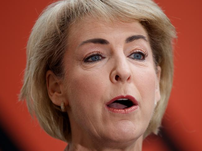 SYDNEY, AUSTRALIA - NewsWire Photos NOVEMBER 14, 2024: Senator Michaelia Cash during a press conference discussing todayÃs labour force employment data. Picture: NewsWire / Nikki Short