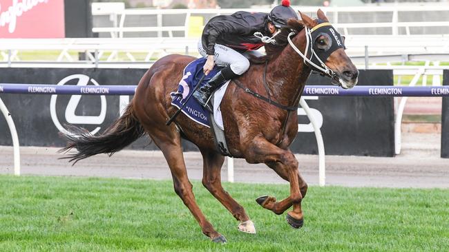 Mnementh ridden by Blake Shinn wins the Santa Ana Lane Sprint Series Final at Flemington Racecourse on July 01, 2023 in Flemington, Australia. (Photo by Brett Holburt/Racing Photos via Getty Images)