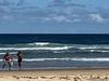 WATCH: Man struggles to defend catch from cheeky dingo on K’gari