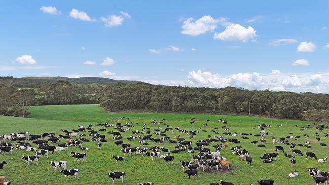 A farming family who owns several dairy farms in Gippsland has purchased Tallagandra at Fish Creek.