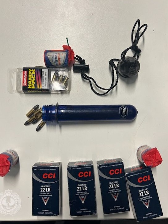 Police said more ammo, firearms and pyrotechnics were found inside his home during a search. Picture: SA Police