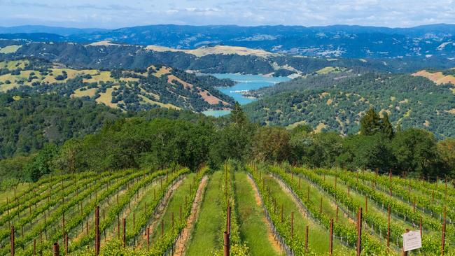 The Sonoma County vineyards in California. Picture: Mariah Harkey/ Sonoma County