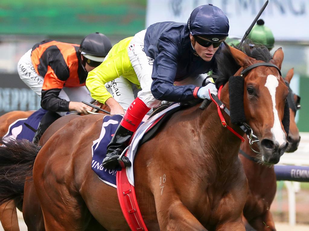 Craig Williams rides Personal to victory at Flemington.