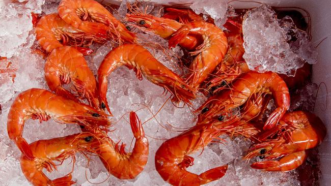 Tiger Prawns