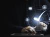 Data-hungry marketing ignores the magic of human experience